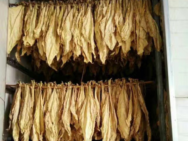 電磁加熱器應用于煙草烘烤